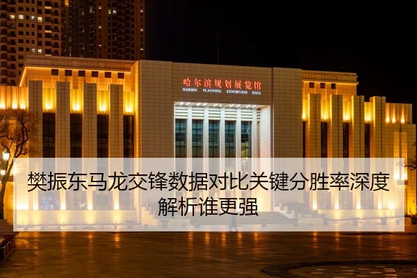 樊振东马龙交锋数据对比关键分胜率深度解析谁更强